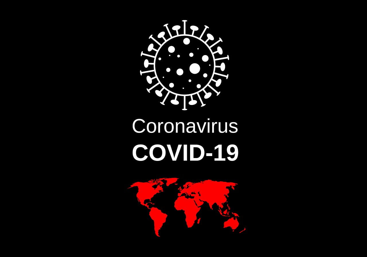 dachowa koronawirus