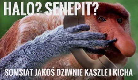 Na smutek, najlepsze MEMY z internetu odnośnie Koronowirusa wirusmemy