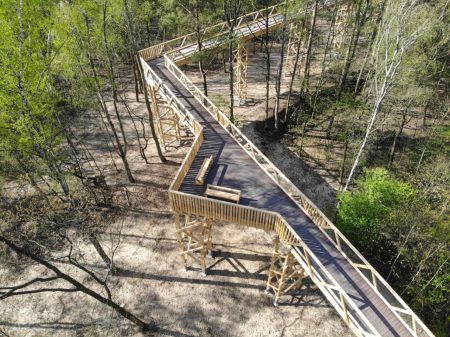 pim sciezka w koronach drzew poznan