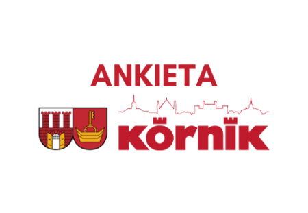 ankieta e1592584462196