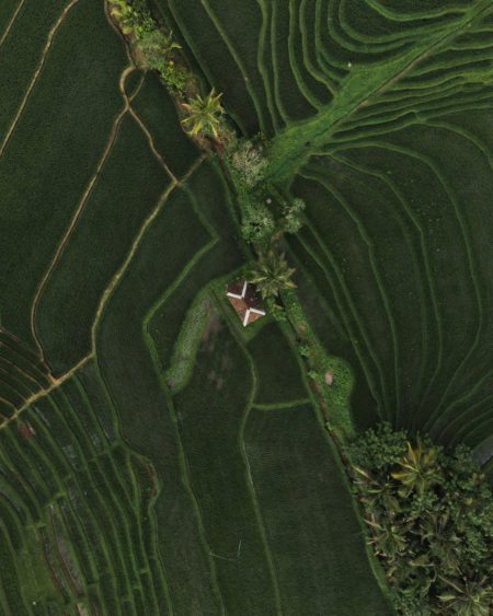 Elektroniczne Konsultacje Społeczne – od 15 stycznia small residential house in green field