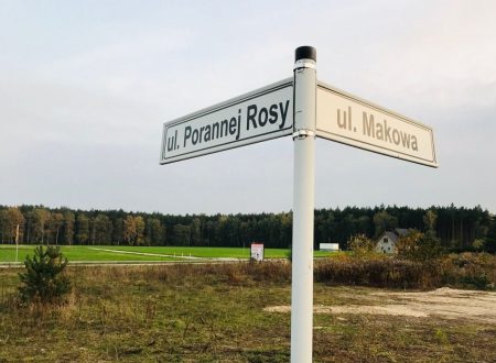 kamionki porannej rosy