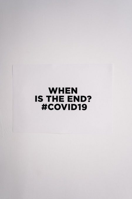 pexels photo 3952243