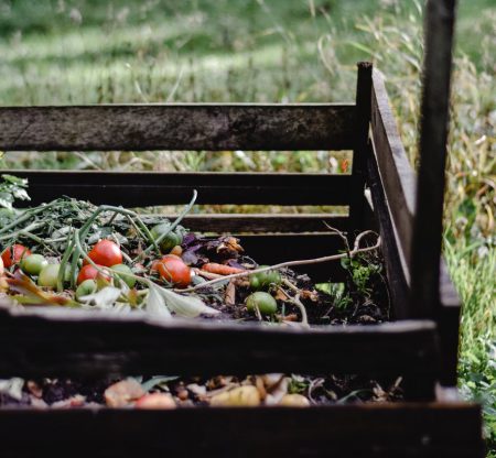 red and green fruits on brown wooden bench