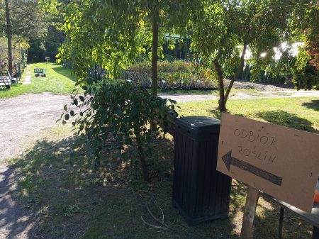 szkółki kórnickie do likwidacji