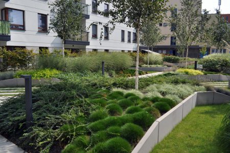 dach-zielony-soprema