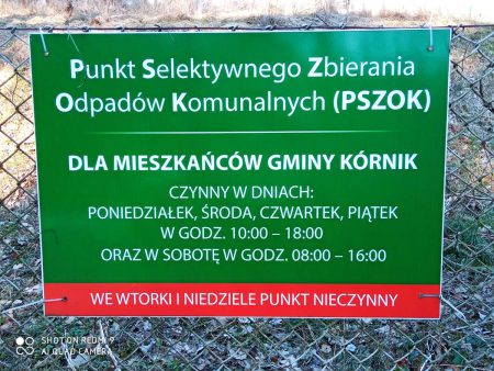 pszok kornik czolowo