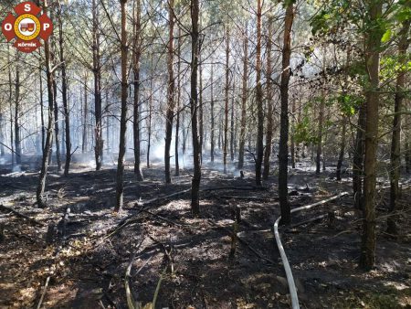 FB IMG 1658846816224