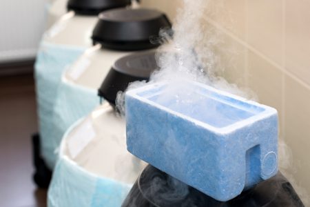 liquid nitrogen bank containing sperm and eggs samples modern laboratory equipment used in the in vitro fertilization process ivf treatment artificial insemination clinic