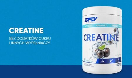 sfd rankingkreatyn wp