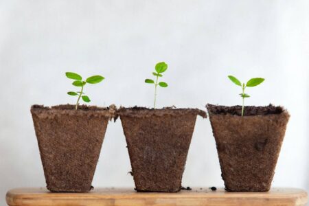 Gdzie szukać najwyższej jakości ziół i jak z nich korzystać? zielarnia1 wp