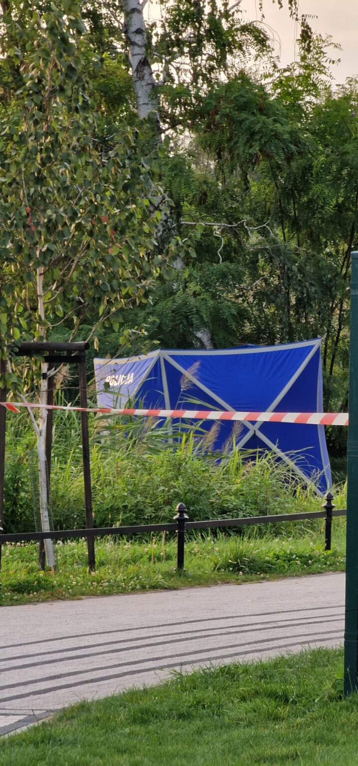 FB IMG 1723361192943