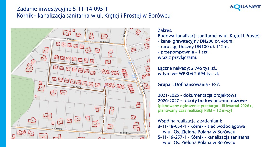 borówiec kręta i prosta