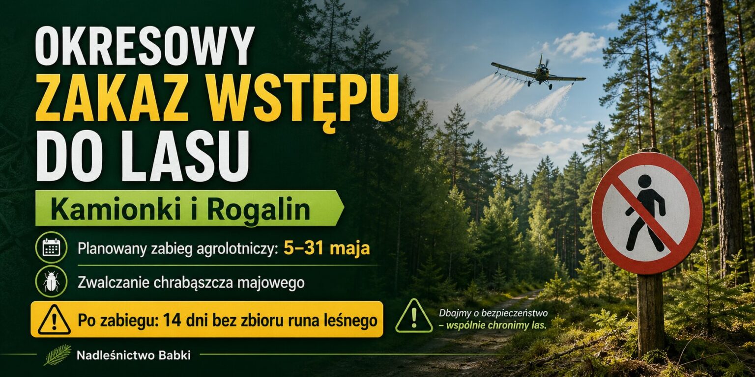 kamionki rogalin zakaz wstepu do lasu