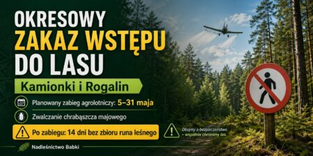 kamionki rogalin zakaz wstepu do lasu