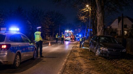 Tragiczny wypadek w Robakowie. 27-latka nie żyje, kierowca uciekł. 1000042749